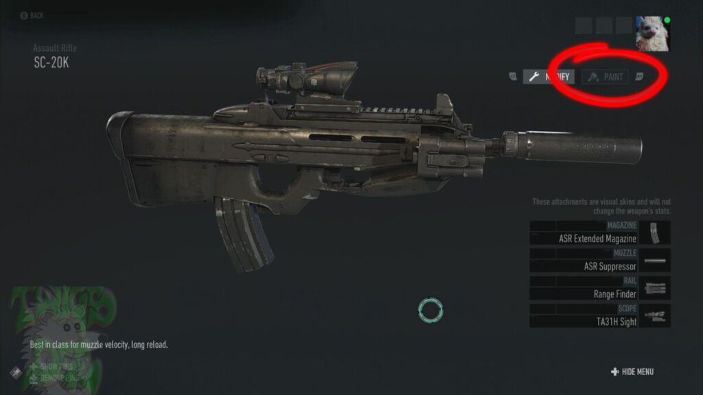 You can paint the AI  teammates guns too.